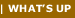 Watt's up newsletter